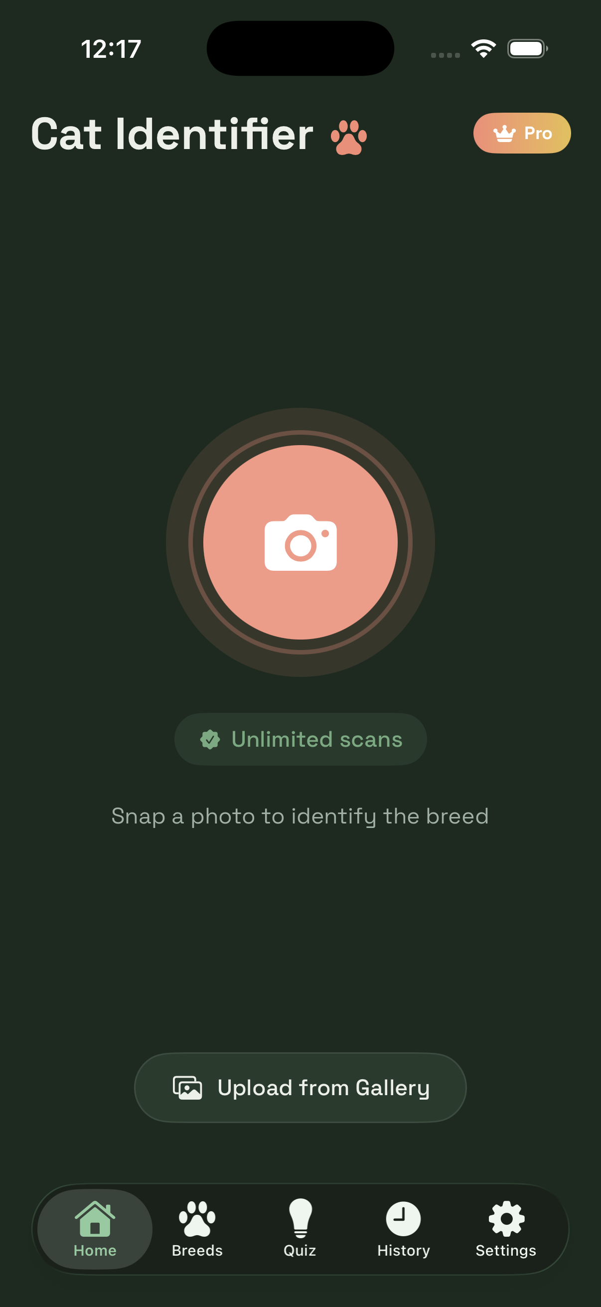 Cat Breed Identifier home screen in dark mode