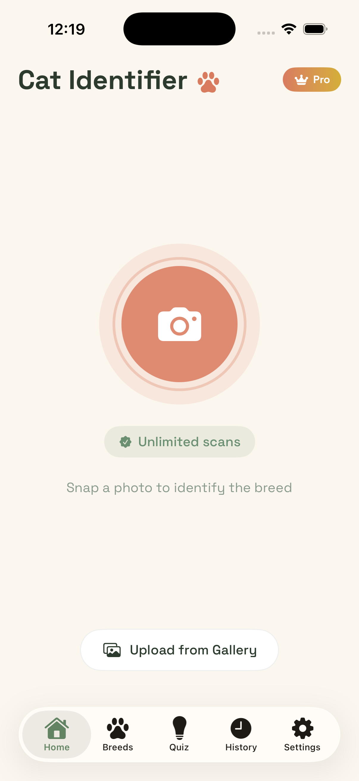 Cat Breed Identifier home screen in light mode